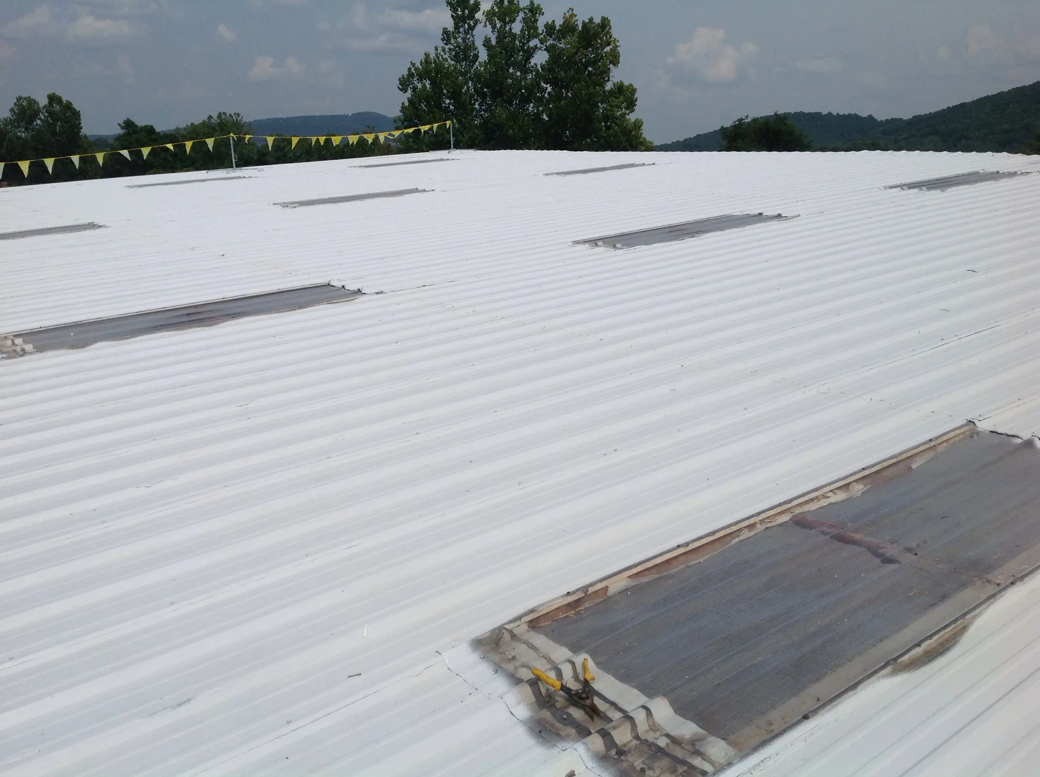 Roof Coating, Charlottesville