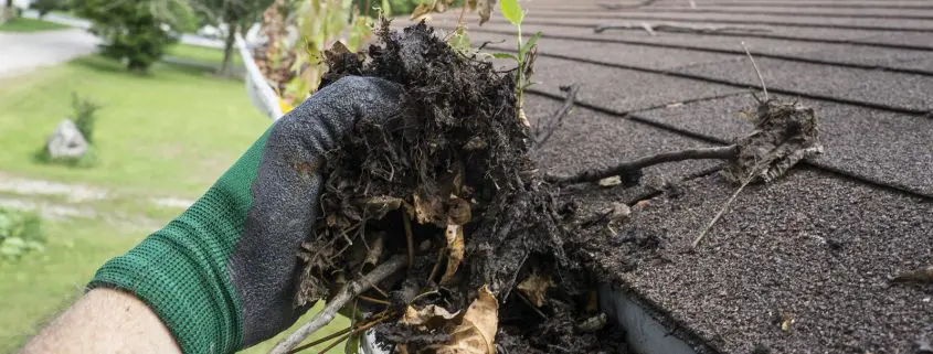 Gutter Guards save you time, money and hassle to clean gutters.