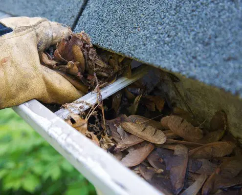 clogged gutters are a dirty job
