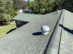 item_5c84c210-2856-4168-8fd2-b056617a741b roof shingles on top of house