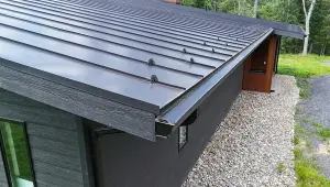 Mount Jackson A-Frame with Standing Seam Metal Roof, Seamless Gutters and Velux Skylights