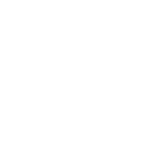 BGF_hammer_logo_white